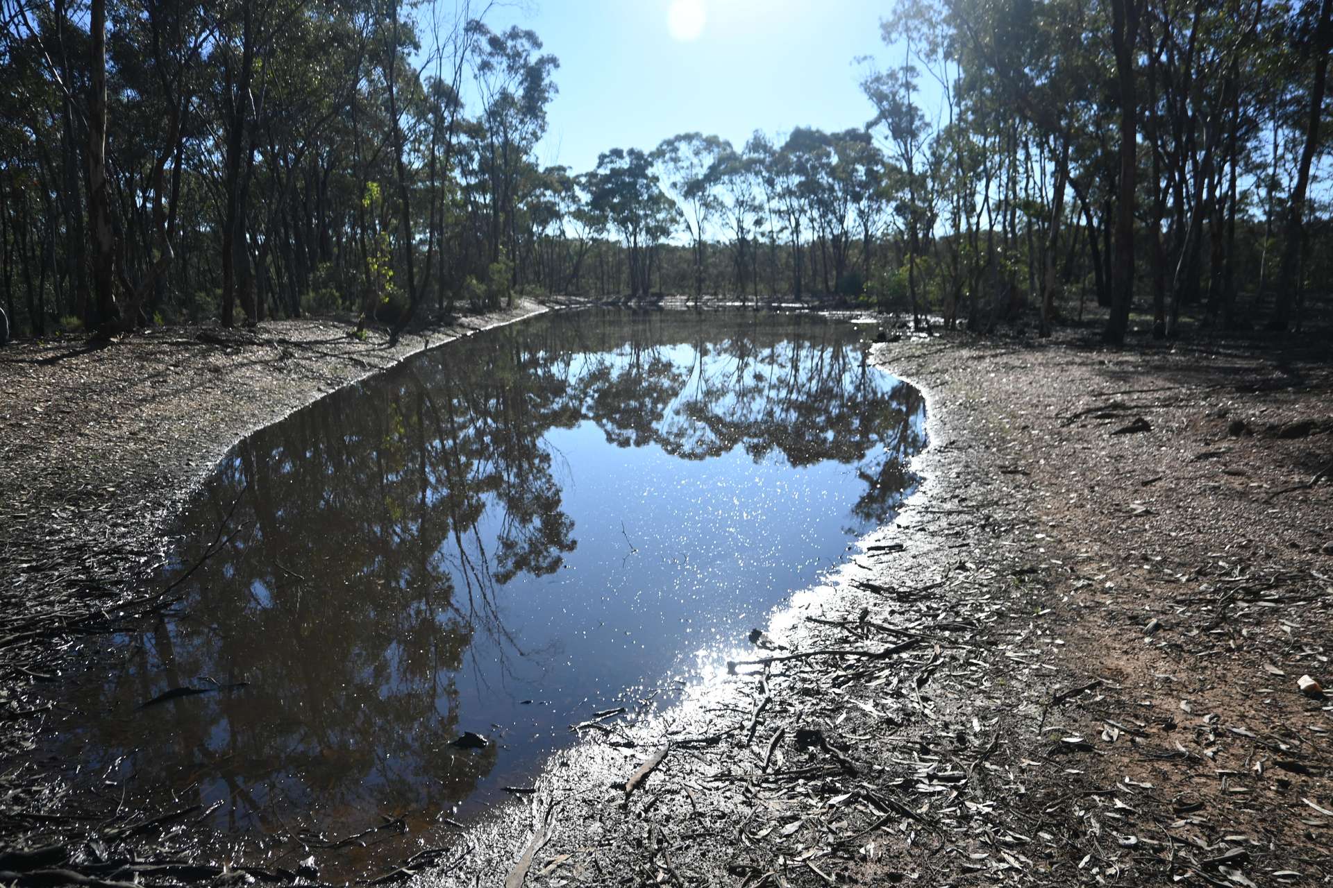 C/A 2 Wattlegum Road, Woodvale For Sale by Farmbuy.com - image 5