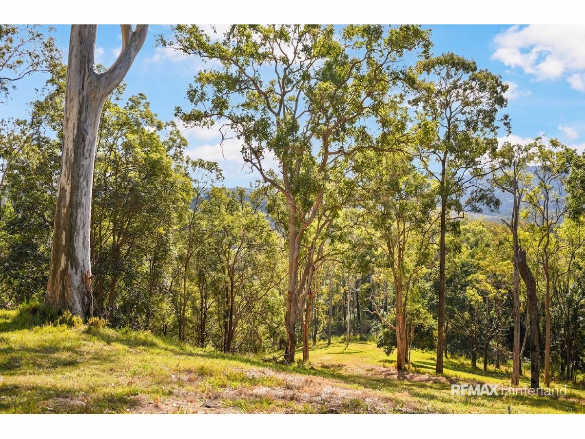 3015 Maleny Kenilworth Road, Cambroon For Sale by Farmbuy.com - image 10