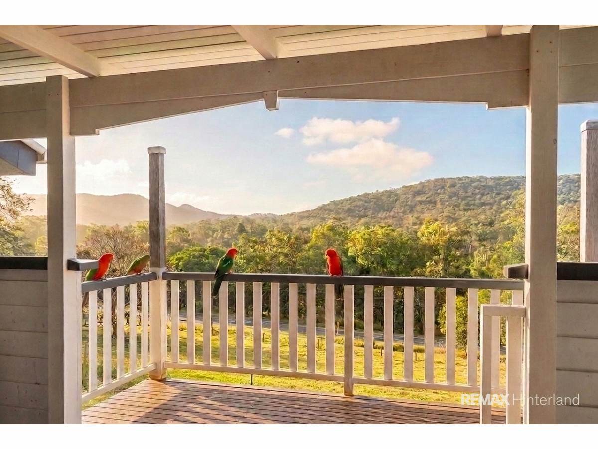 3015 Maleny Kenilworth Road, Cambroon For Sale by Farmbuy.com - image 12