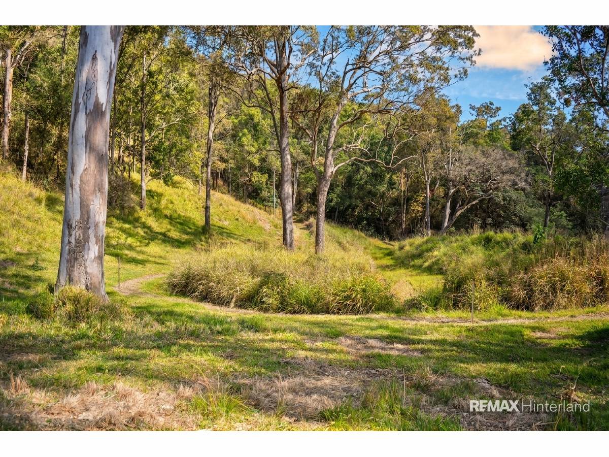 3015 Maleny Kenilworth Road, Cambroon For Sale by Farmbuy.com - image 11