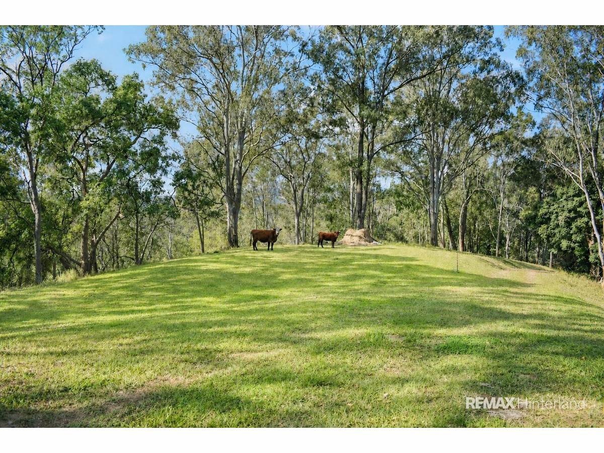 3015 Maleny Kenilworth Road, Cambroon For Sale by Farmbuy.com - image 9