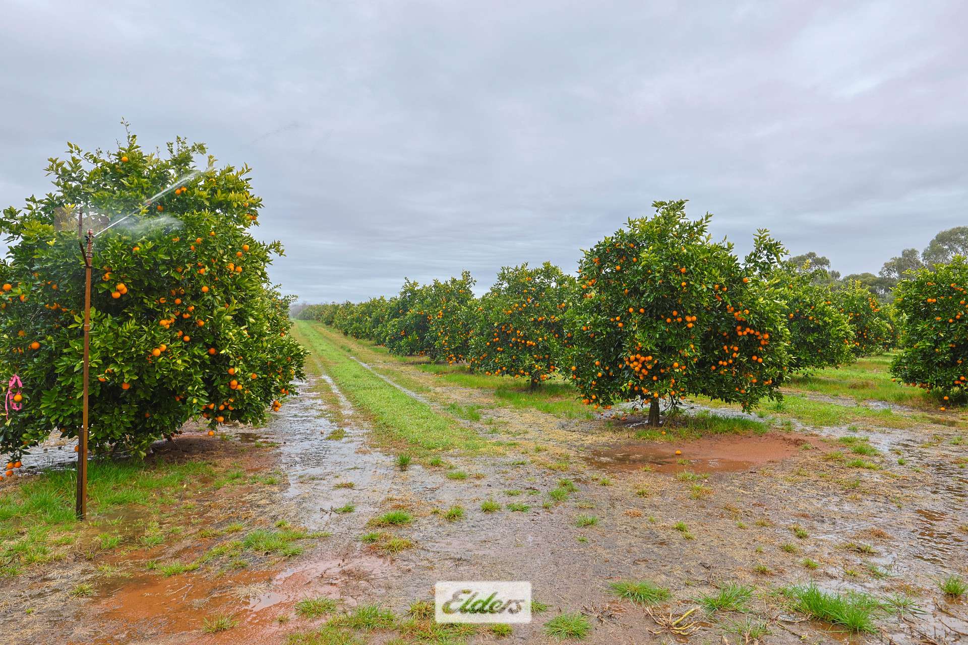 3272 Kulkyne Way, Colignan For Sale by Farmbuy.com - image 17