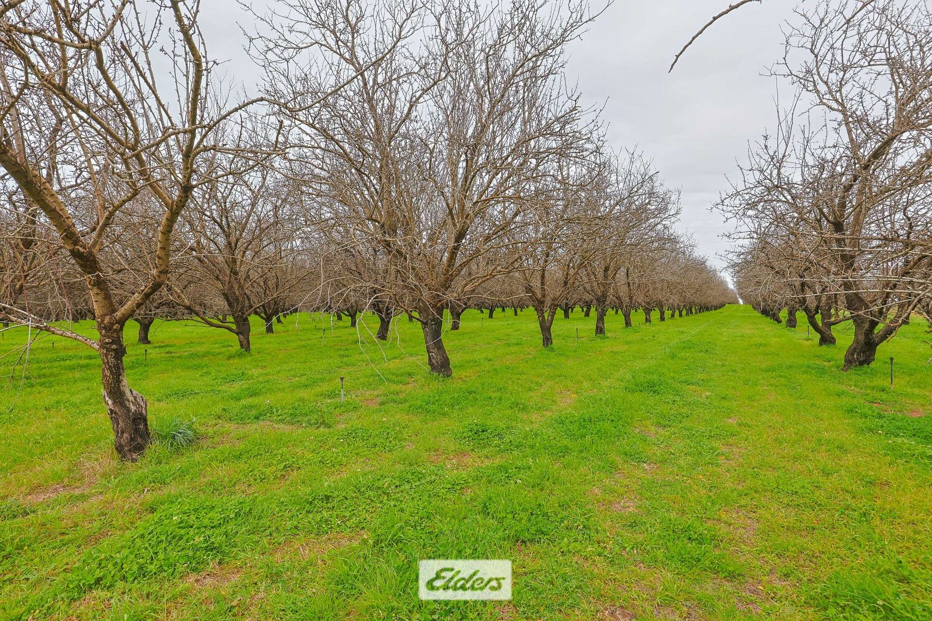 3272 Kulkyne Way, Colignan For Sale by Farmbuy.com - image 22