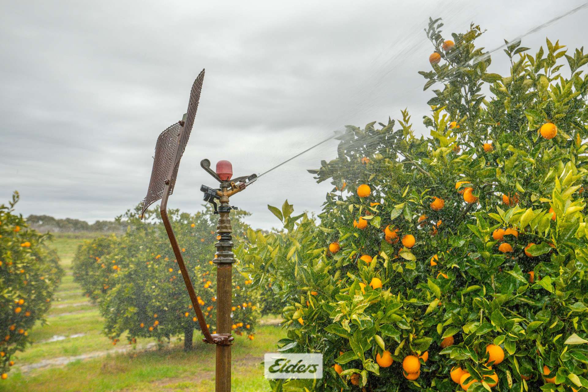 3272 Kulkyne Way, Colignan For Sale by Farmbuy.com - image 18