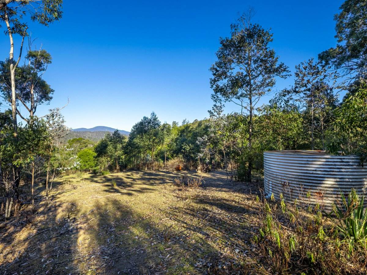 Lot 1124 Upper Brogo Road, Brogo For Sale by Farmbuy.com - image 5
