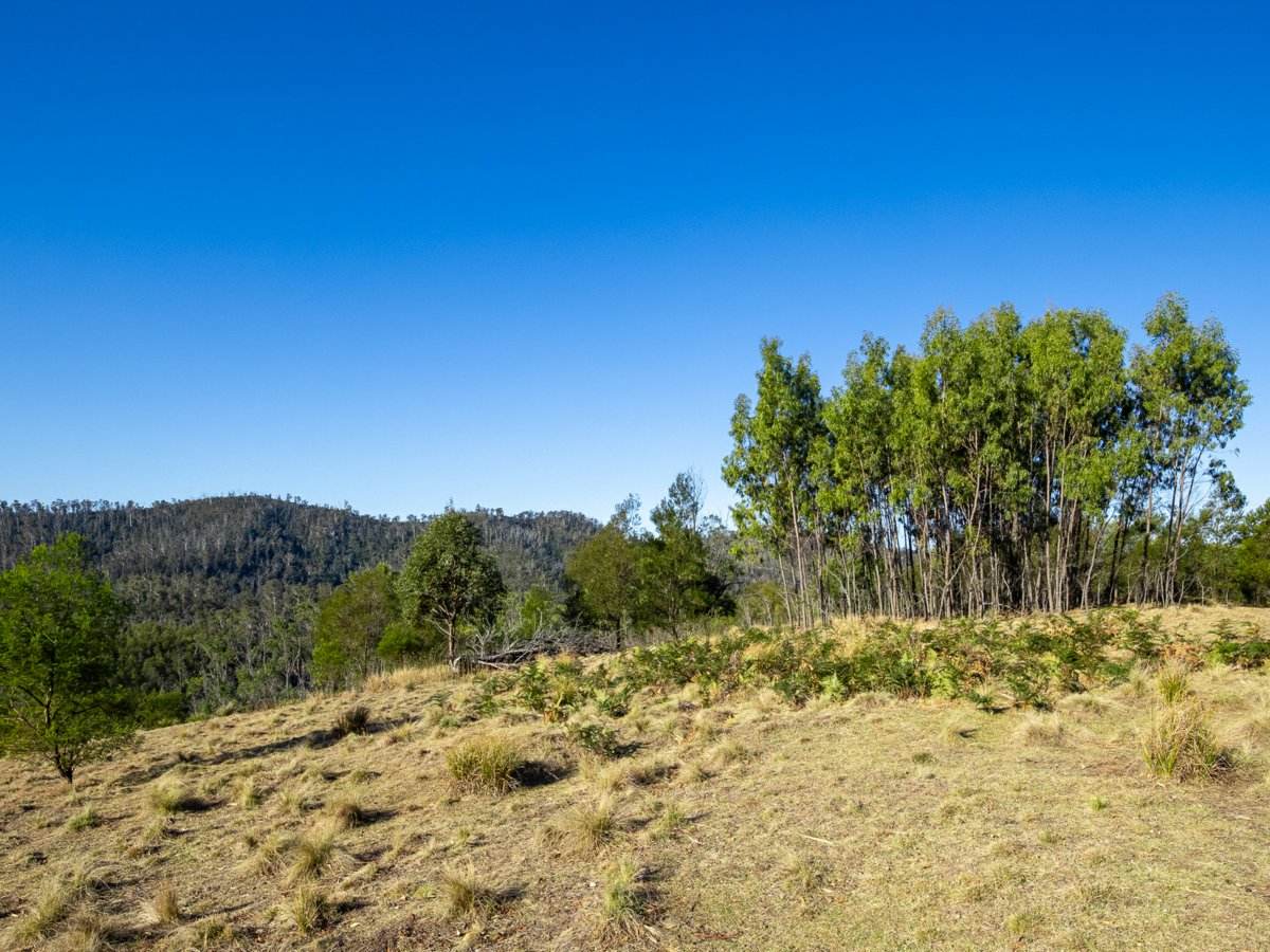Lot 1124 Upper Brogo Road, Brogo For Sale by Farmbuy.com - image 11