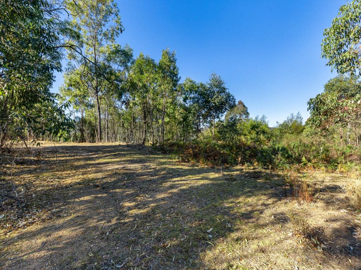 Lot 1124 Upper Brogo Road, Brogo For Sale by Farmbuy.com - image 7