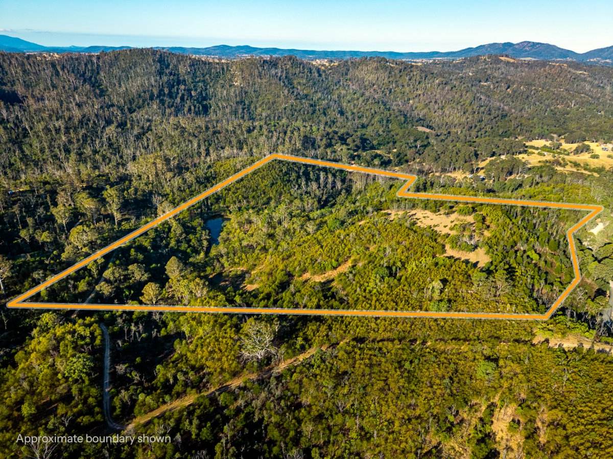 Lot 1124 Upper Brogo Road, Brogo For Sale by Farmbuy.com - image 15