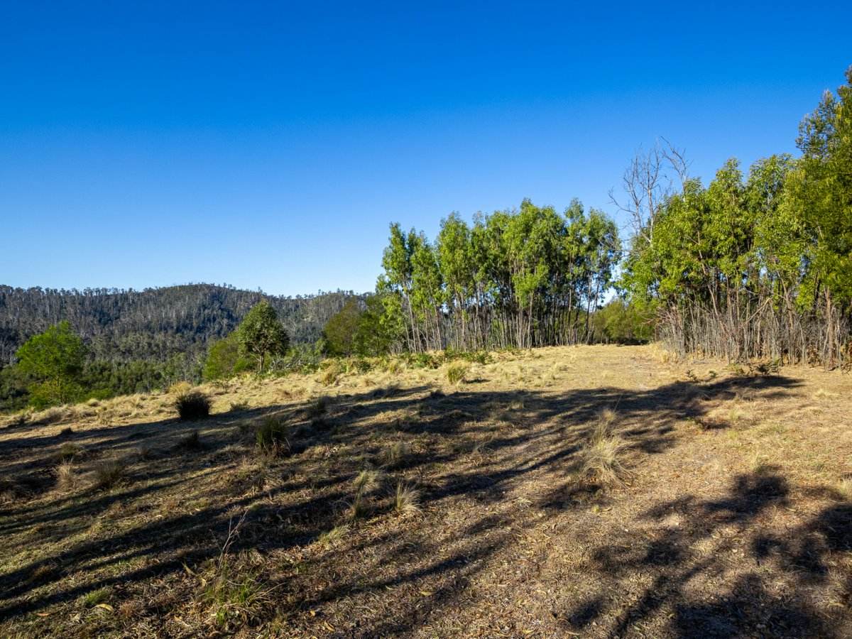 Lot 1124 Upper Brogo Road, Brogo For Sale by Farmbuy.com - image 12