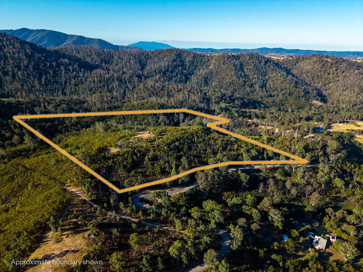 Lot 1124 Upper Brogo Road, Brogo For Sale by Farmbuy.com - image 17