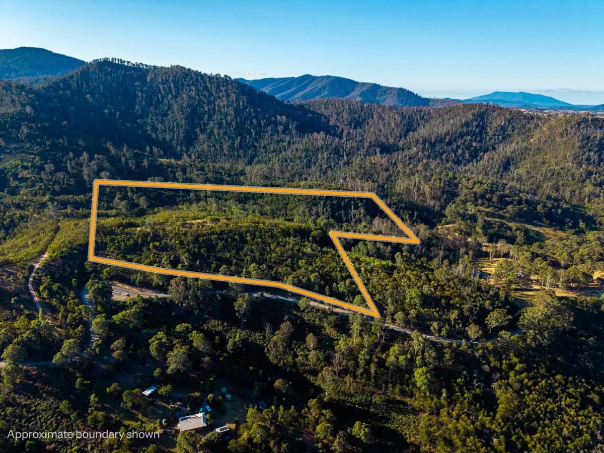 Lot 1124 Upper Brogo Road, Brogo For Sale by Farmbuy.com - image 13