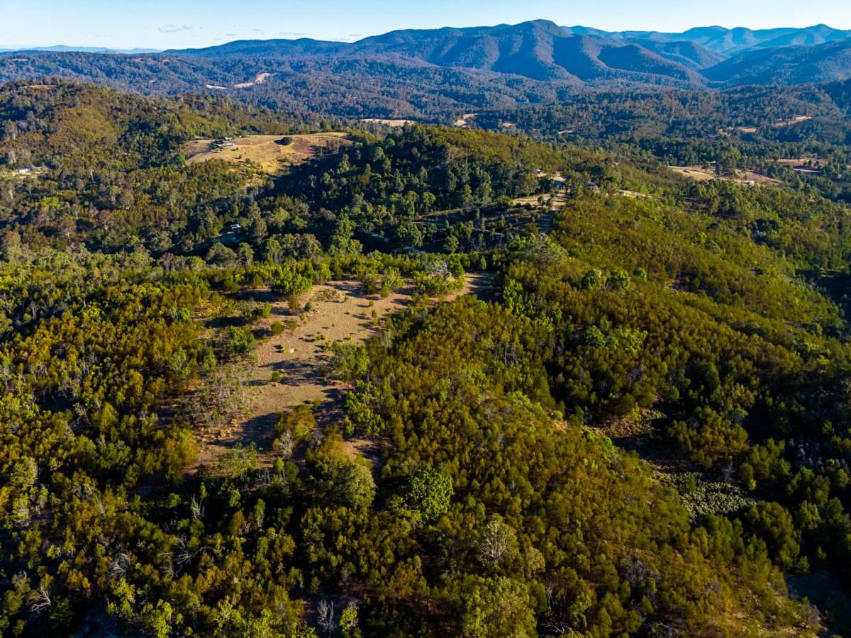 Lot 1124 Upper Brogo Road, Brogo For Sale by Farmbuy.com - image 18