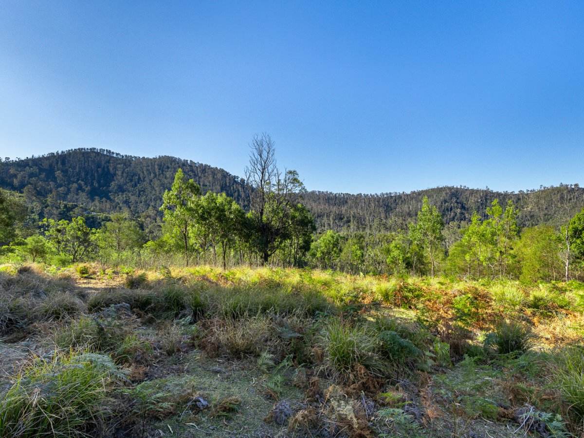 Lot 1124 Upper Brogo Road, Brogo For Sale by Farmbuy.com - image 8