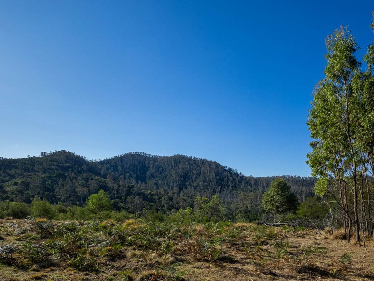 Lot 1124 Upper Brogo Road, Brogo For Sale by Farmbuy.com - image 9