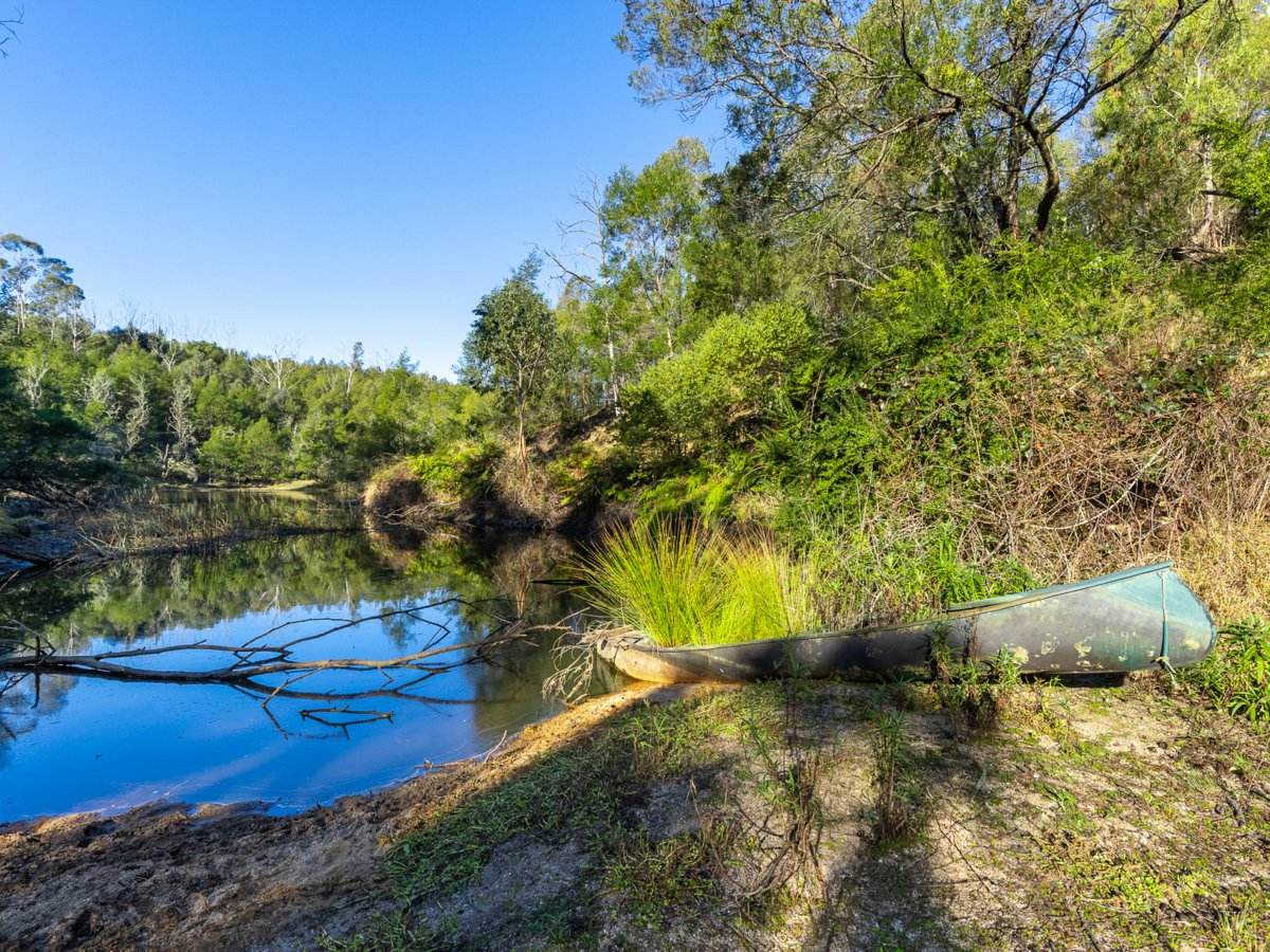 Lot 1124 Upper Brogo Road, Brogo For Sale by Farmbuy.com - image 3