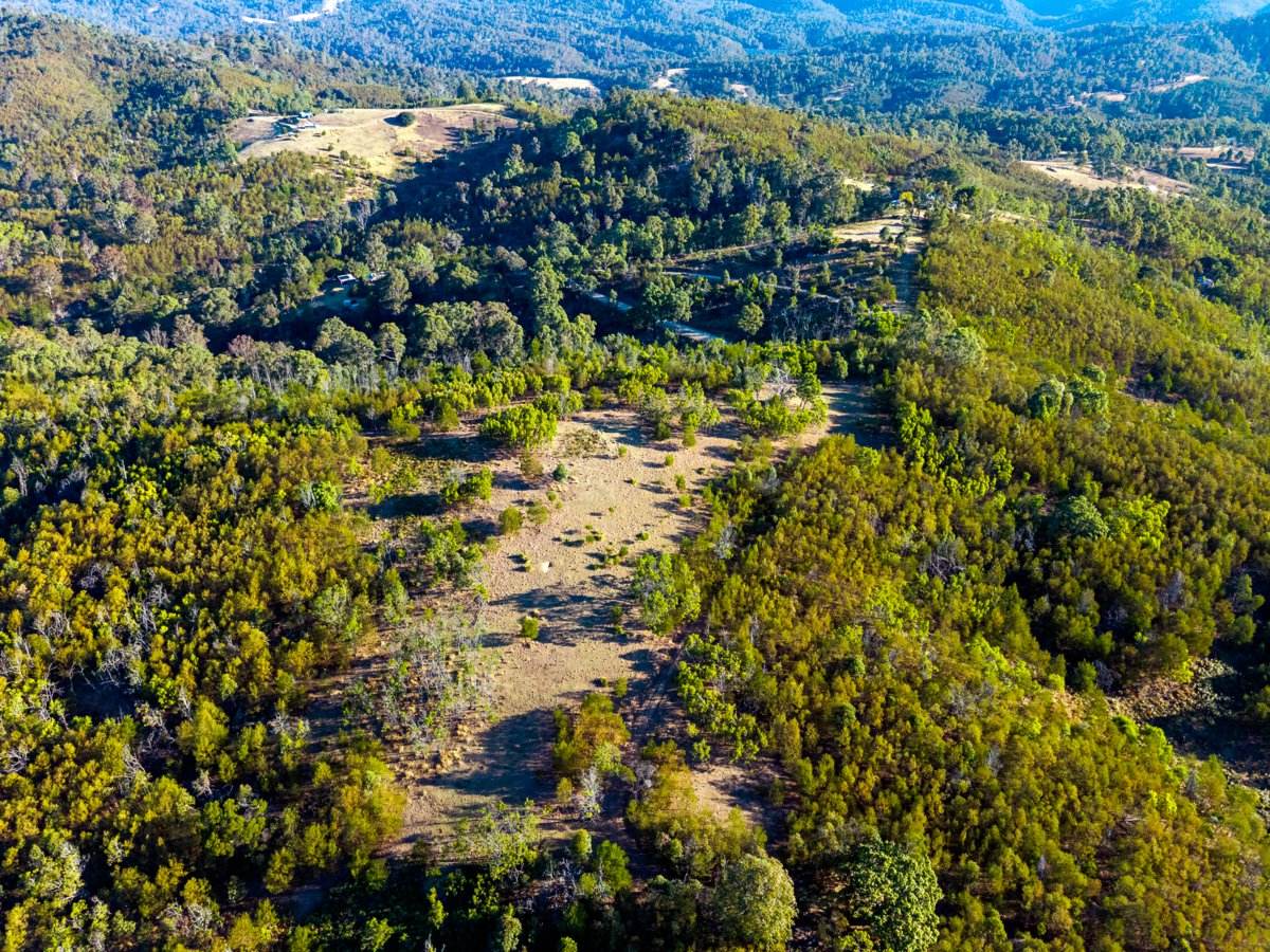 Lot 1124 Upper Brogo Road, Brogo For Sale by Farmbuy.com - image 20