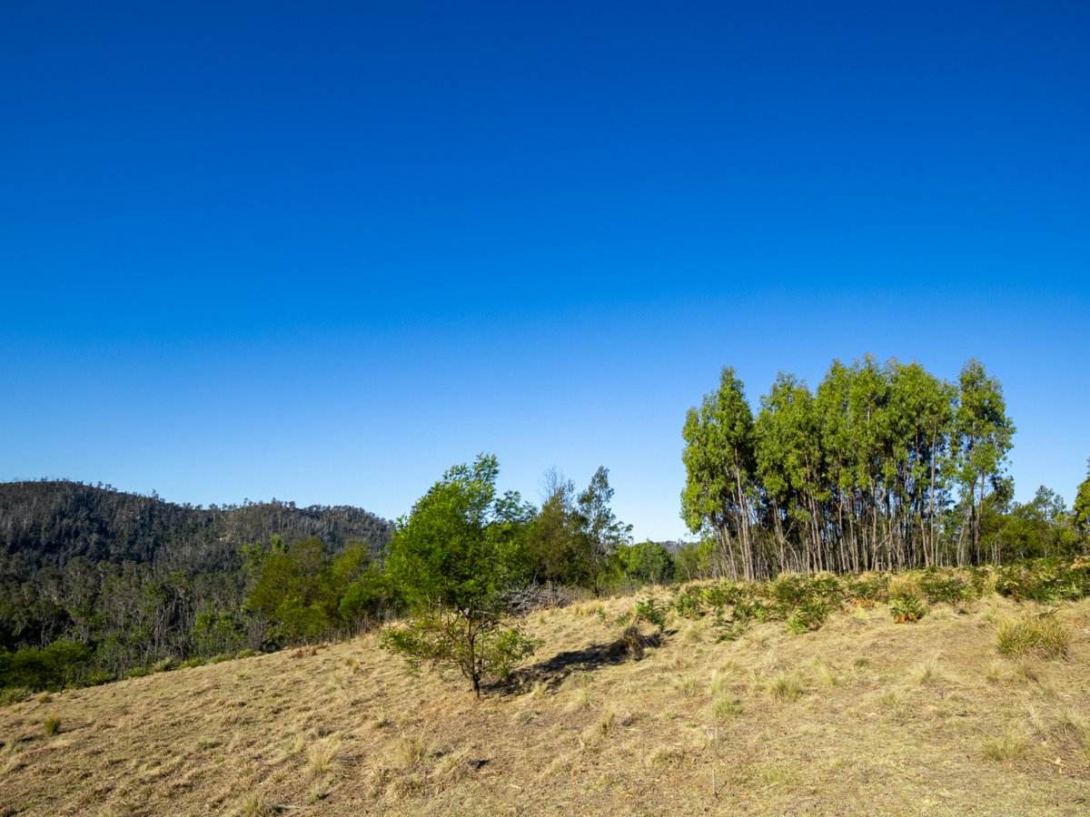 Lot 1124 Upper Brogo Road, Brogo For Sale by Farmbuy.com - image 10