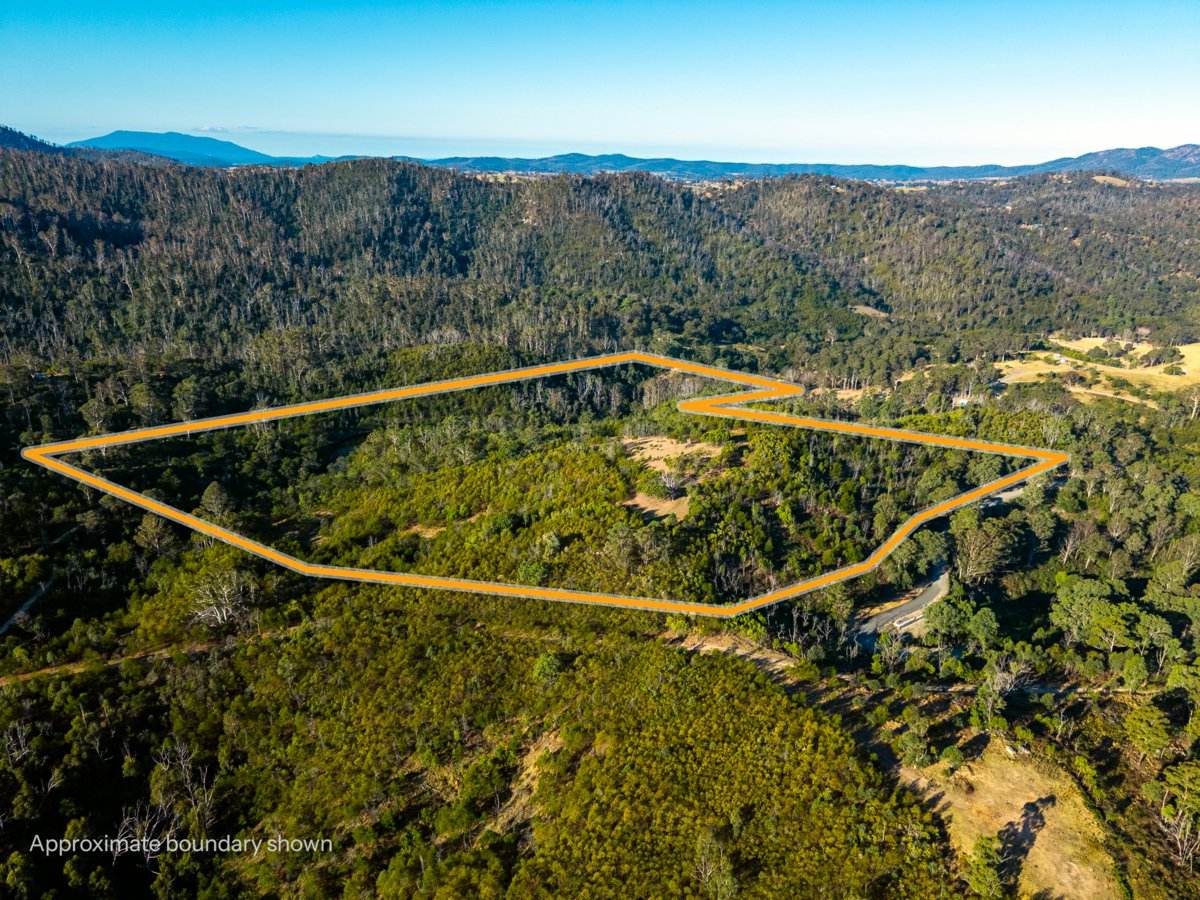 Lot 1124 Upper Brogo Road, Brogo For Sale by Farmbuy.com - image 16