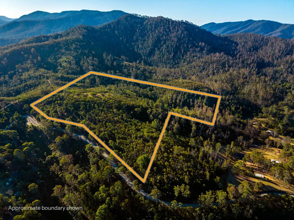 Lot 1124 Upper Brogo Road, Brogo For Sale by Farmbuy.com - image 14