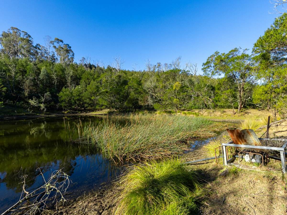 Lot 1124 Upper Brogo Road, Brogo For Sale by Farmbuy.com - image 2