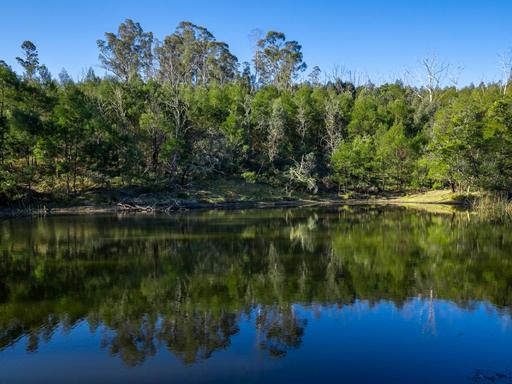 Lot 1124 Upper Brogo Road, Brogo NSW 2550