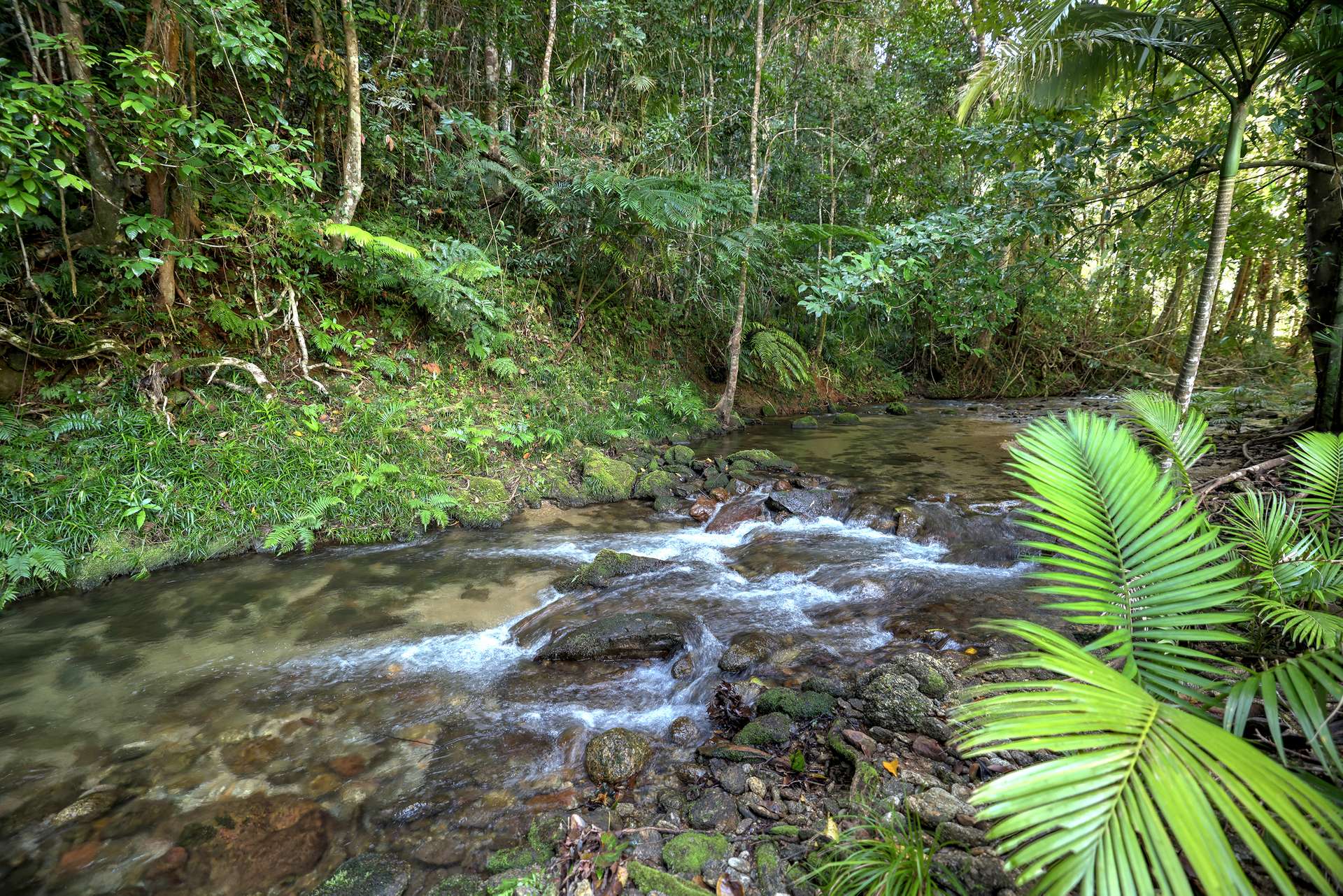 376 Kruckow Road, East Russell For Sale by Farmbuy.com - image 15