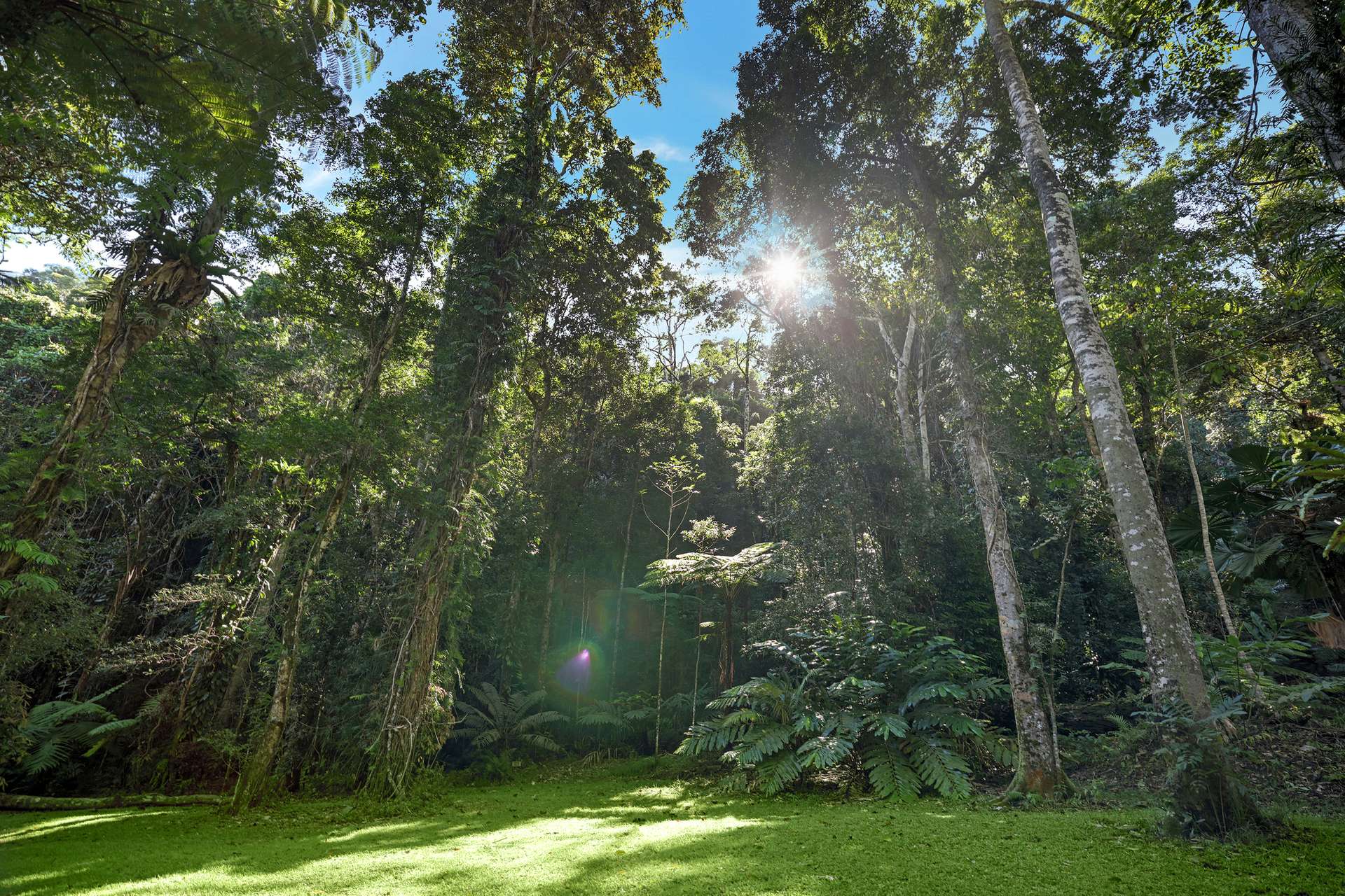 376 Kruckow Road, East Russell For Sale by Farmbuy.com - image 11