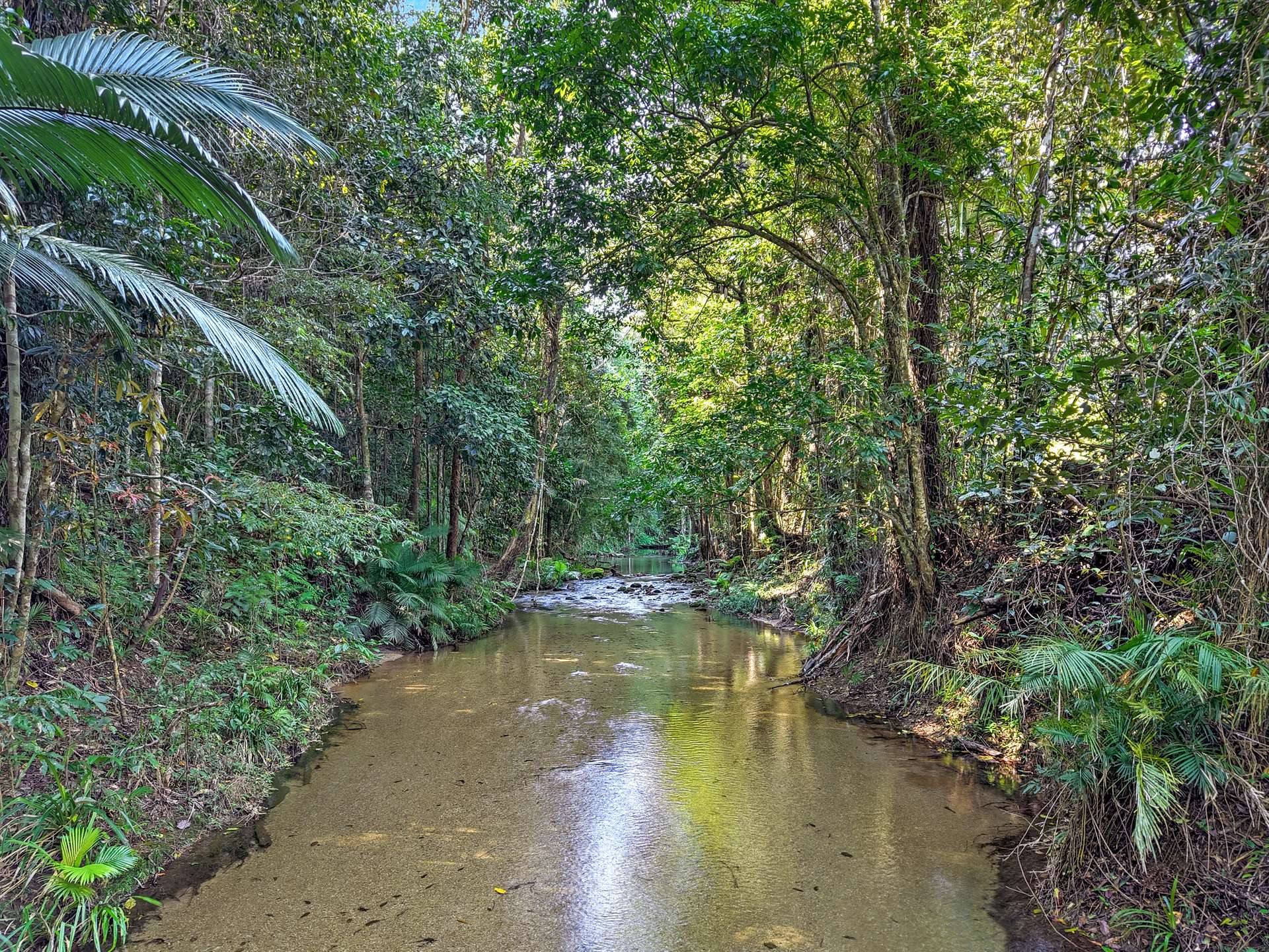 376 Kruckow Road, East Russell For Sale by Farmbuy.com - image 14