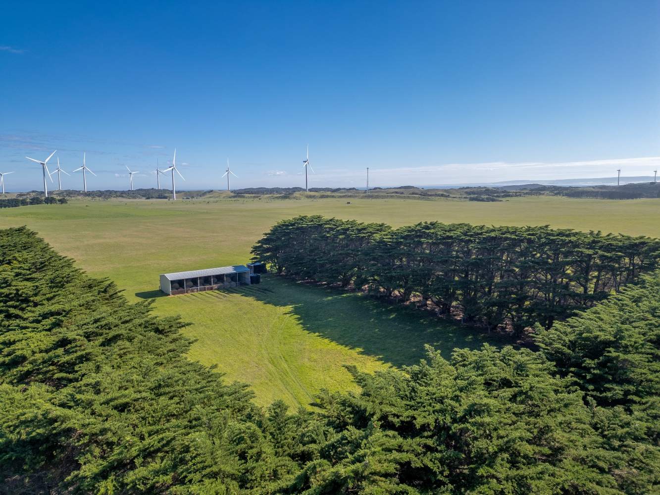 22 Nicholson Rd, Cape Bridgewater For Sale by Farmbuy.com - image 11