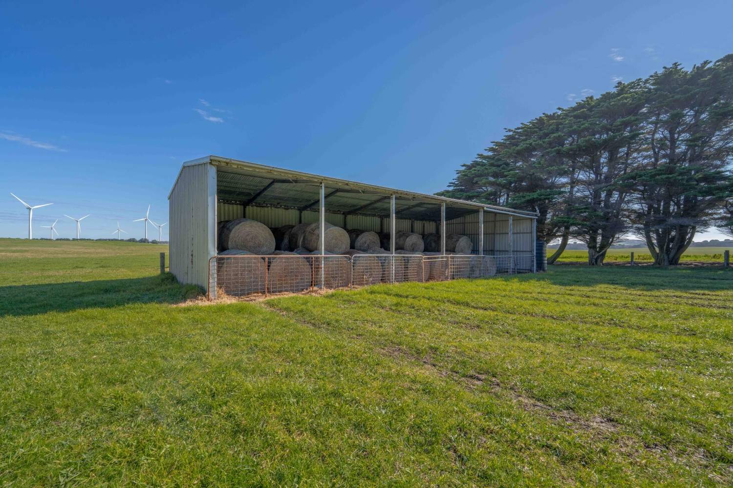 22 Nicholson Rd, Cape Bridgewater For Sale by Farmbuy.com - image 9