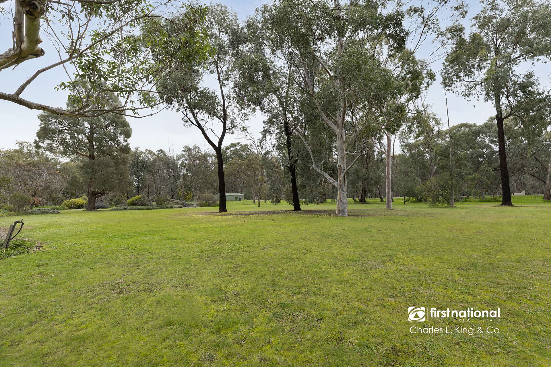 146 River Avenue, Echuca For Sale by Farmbuy.com - image 27