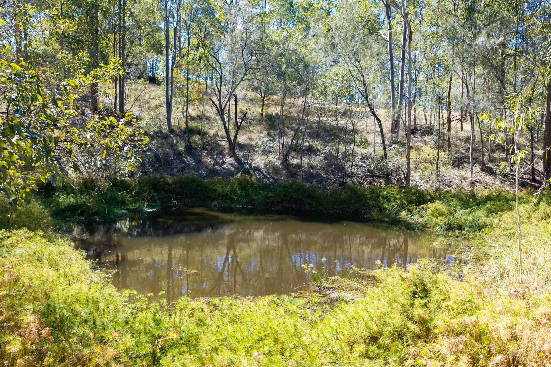 24 Lorikeet Drive, Tamaree For Sale by Farmbuy.com - image 34