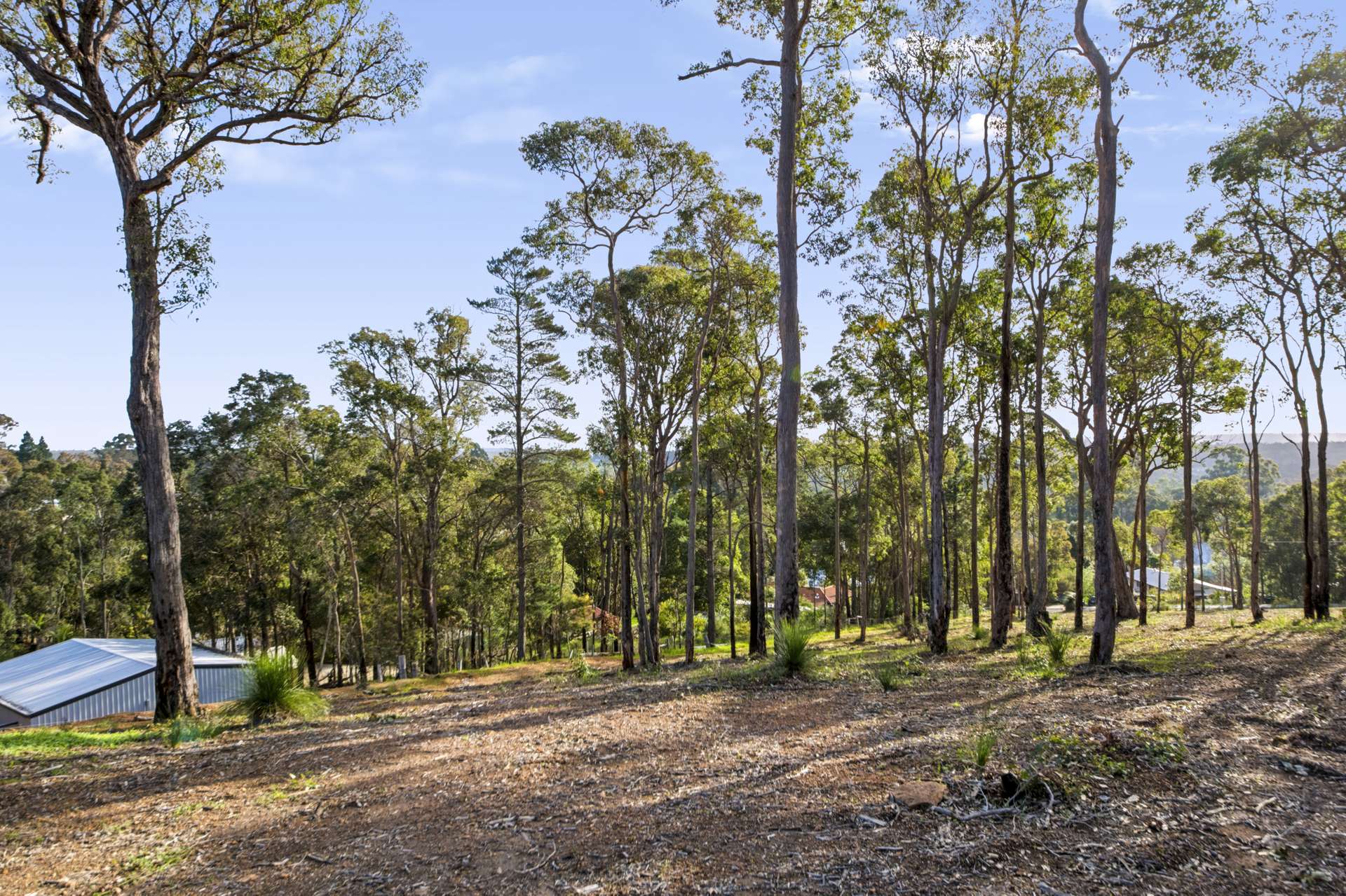 51 Carey Street, Nannup For Sale by Farmbuy.com - image 4