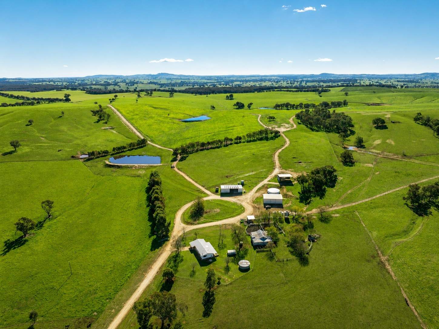 1067 Pulletop Road, Cookardinia Auction by Farmbuy.com - image 3
