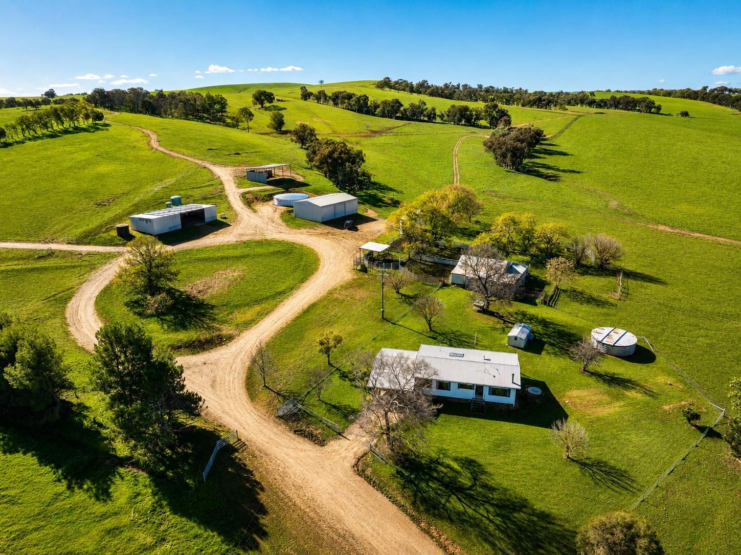 1067 Pulletop Road, Cookardinia Auction by Farmbuy.com - image 6