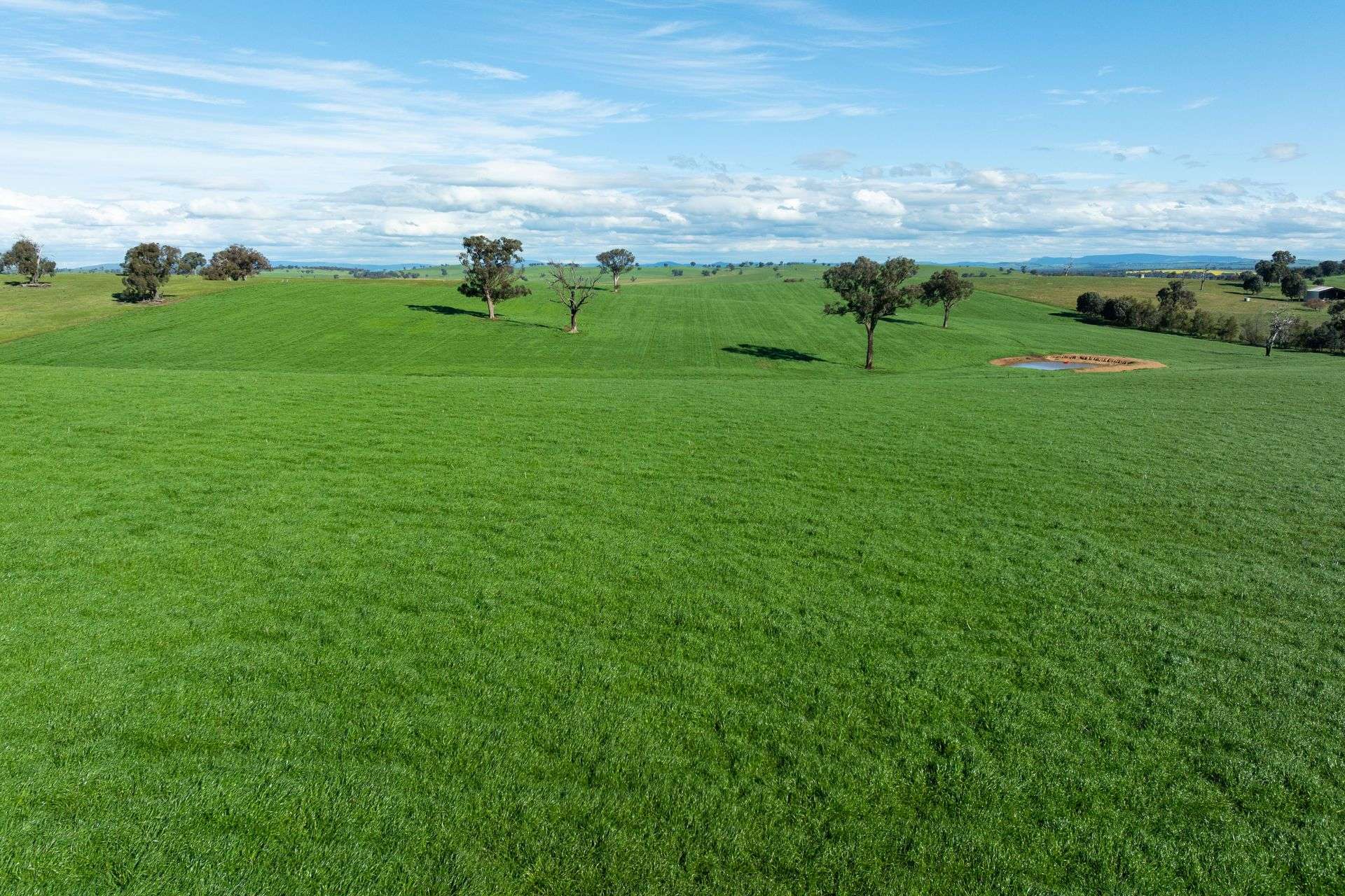 1067 Pulletop Road, Cookardinia Auction by Farmbuy.com - image 31