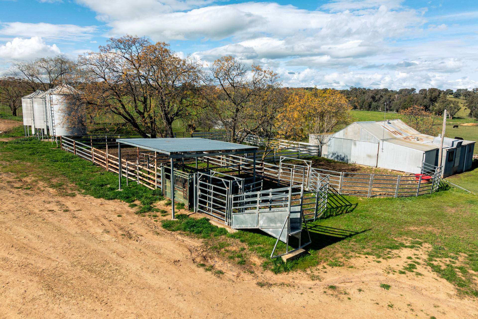 1067 Pulletop Road, Cookardinia Auction by Farmbuy.com - image 12