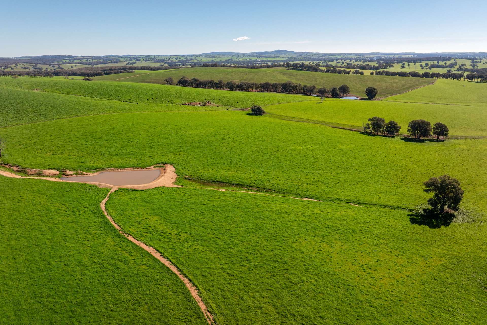 1067 Pulletop Road, Cookardinia Auction by Farmbuy.com - image 17