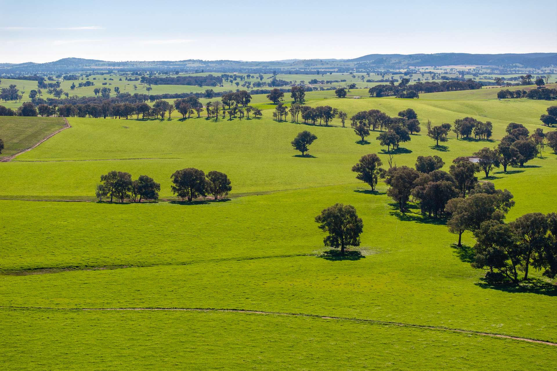 1067 Pulletop Road, Cookardinia Auction by Farmbuy.com - image 2
