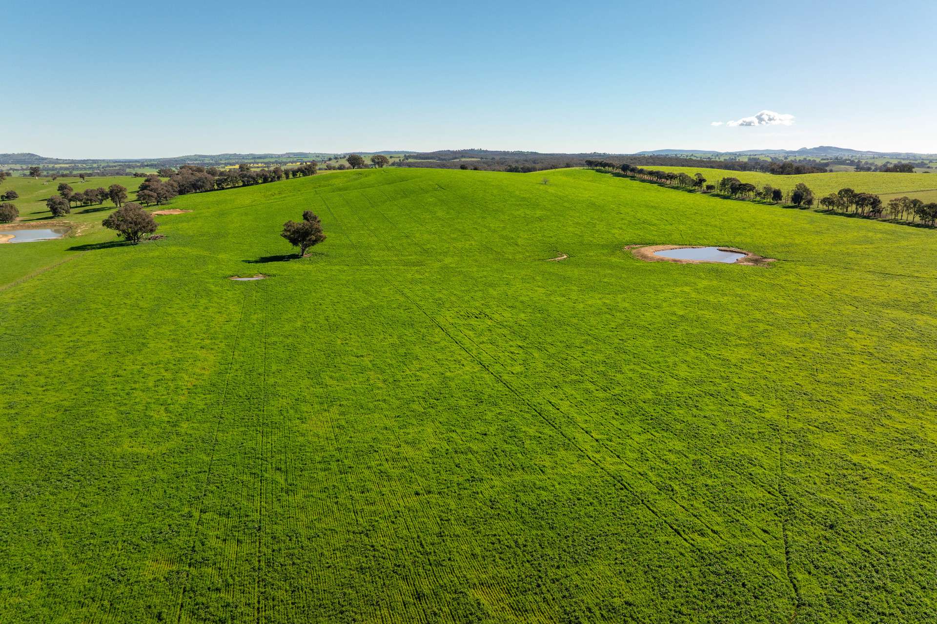 1067 Pulletop Road, Cookardinia Auction by Farmbuy.com - image 23