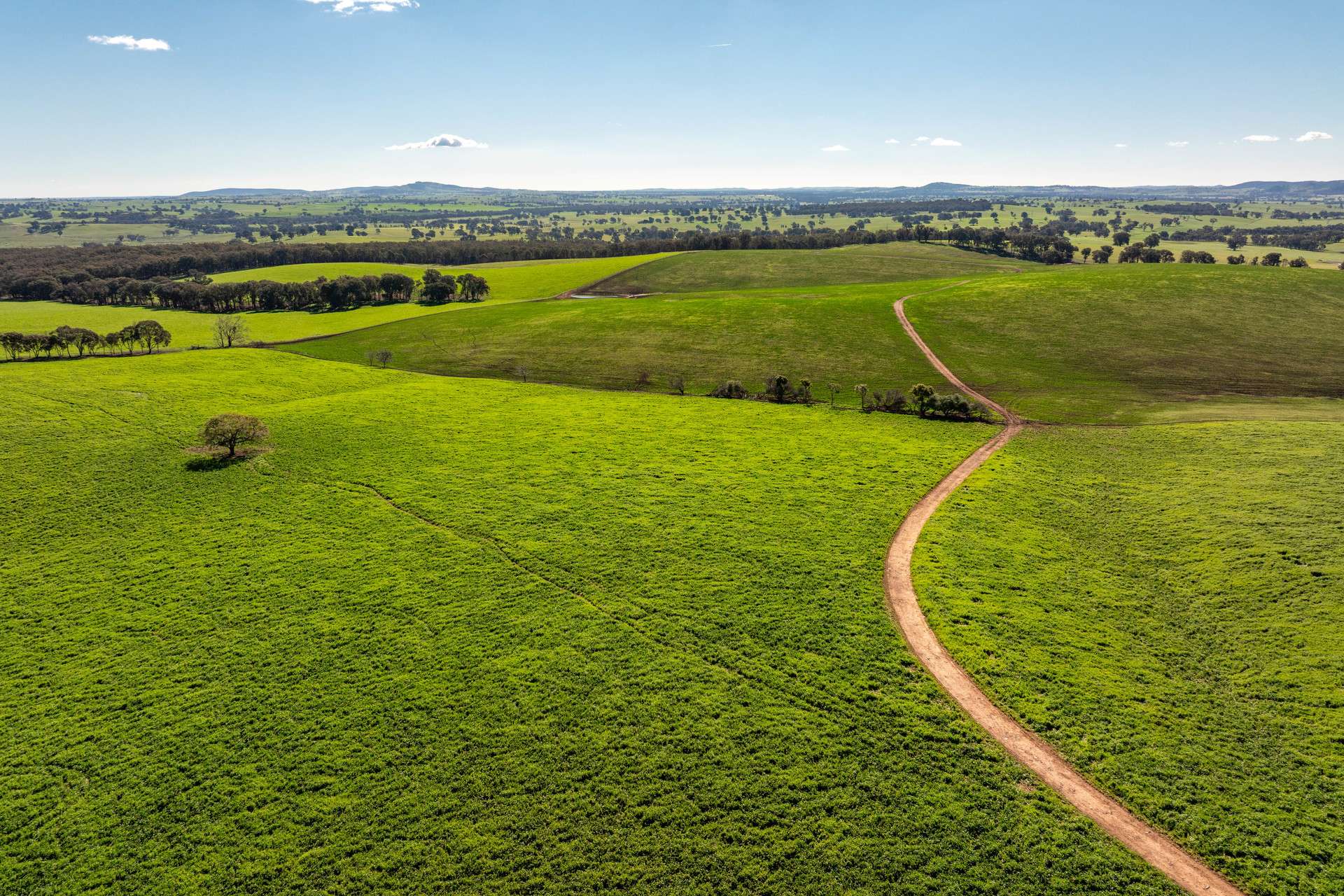 1067 Pulletop Road, Cookardinia Auction by Farmbuy.com - image 26