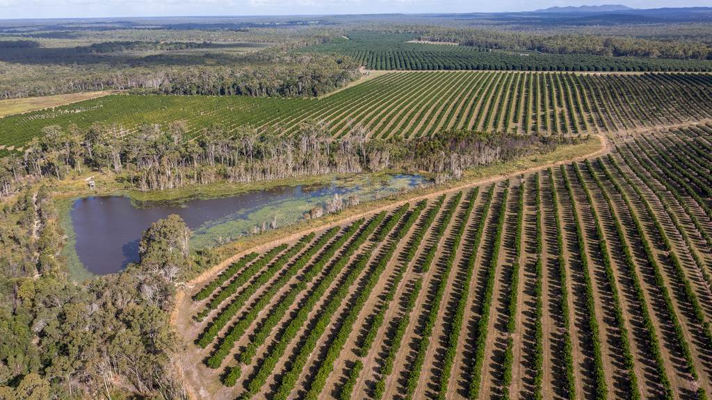 577 Boaga Road, Mullett Creek QLD 4670