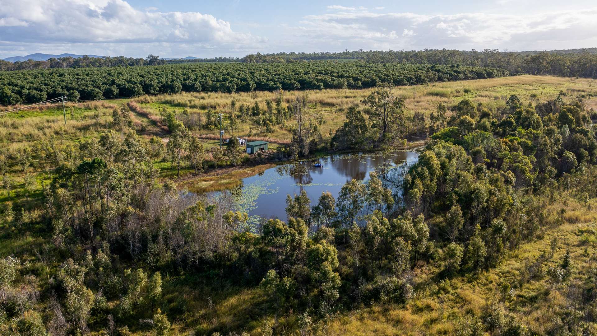 577 Boaga Road, Mullett Creek For Sale by Farmbuy.com - image 18
