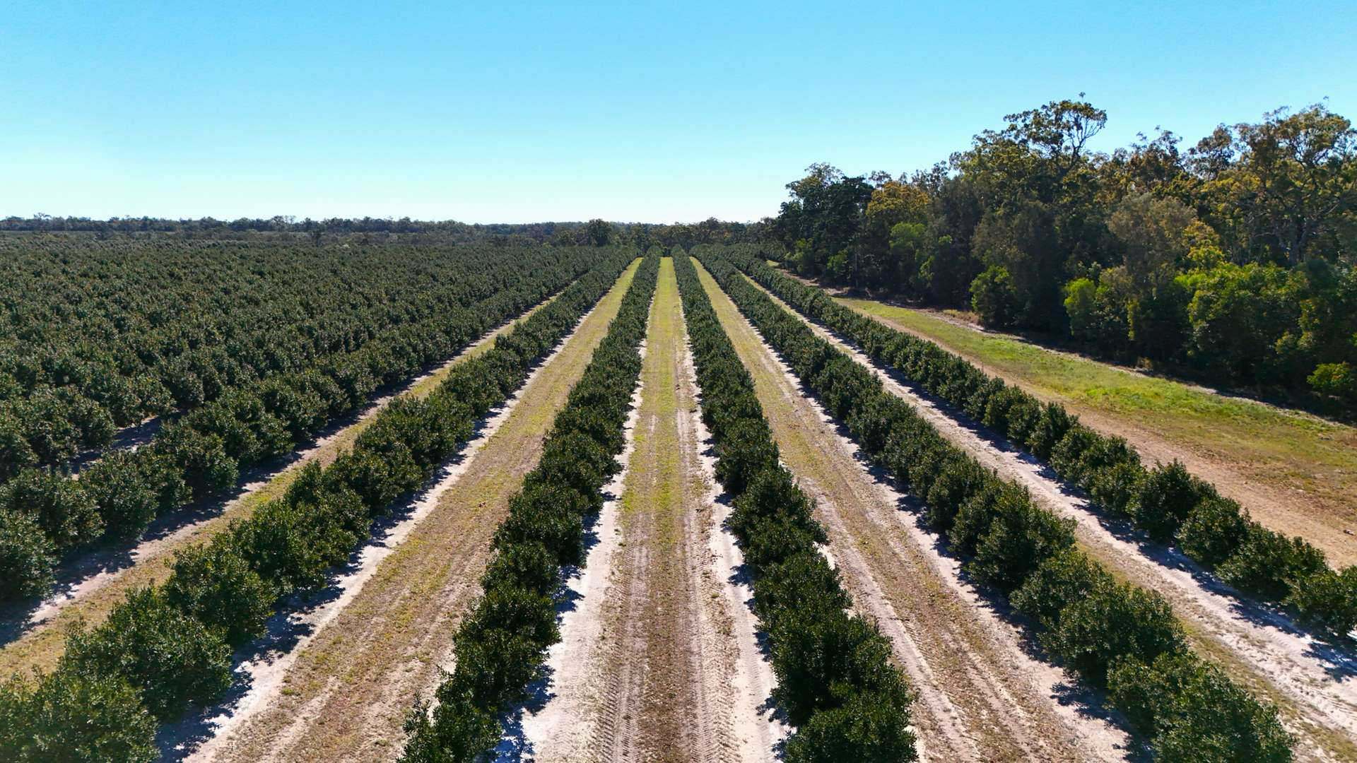 577 Boaga Road, Mullett Creek For Sale by Farmbuy.com - image 2