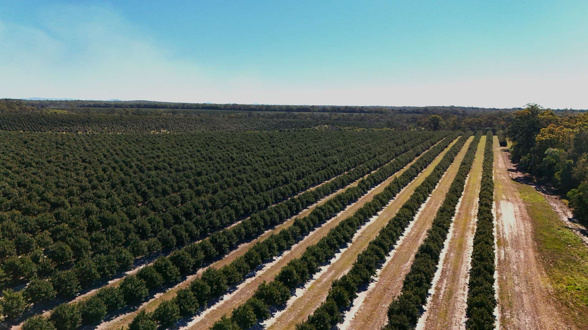 577 Boaga Road, Mullett Creek For Sale by Farmbuy.com - image 10