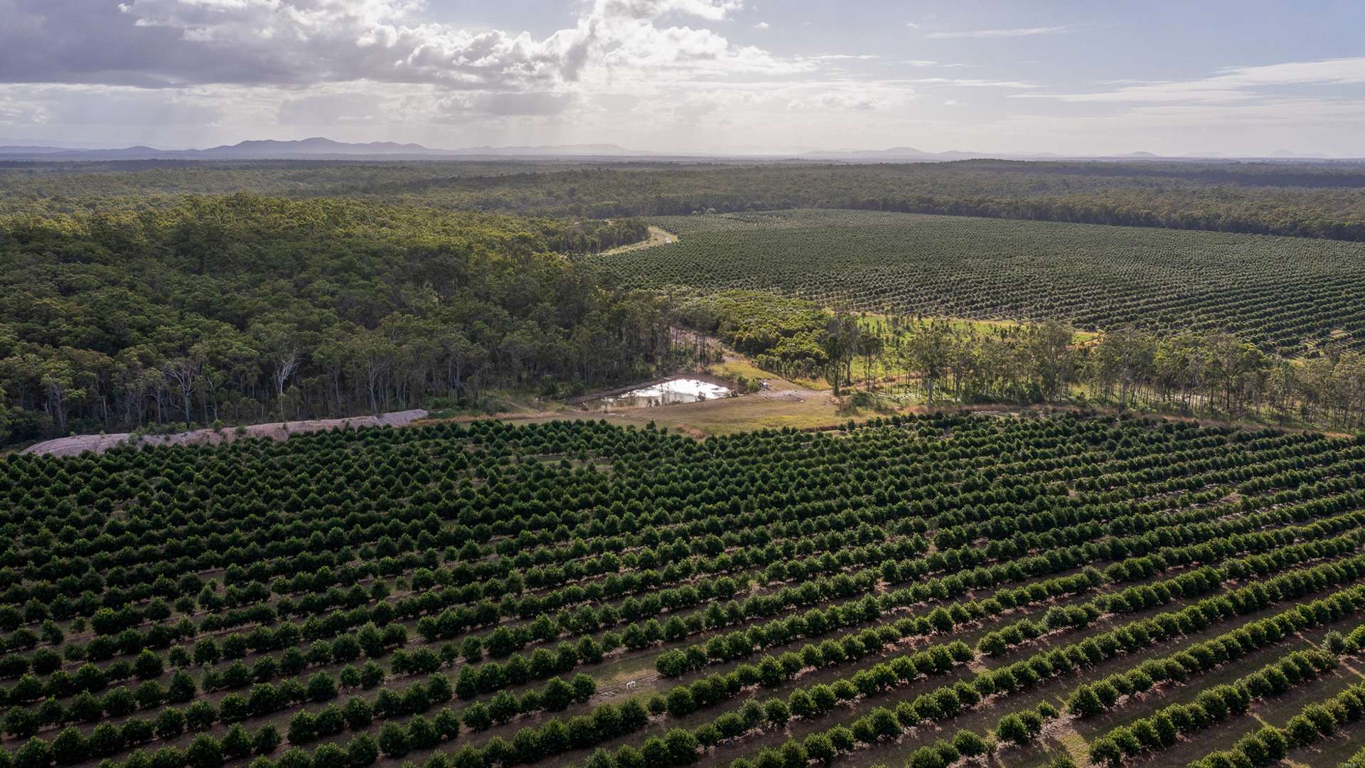 577 Boaga Road, Mullett Creek For Sale by Farmbuy.com - image 3