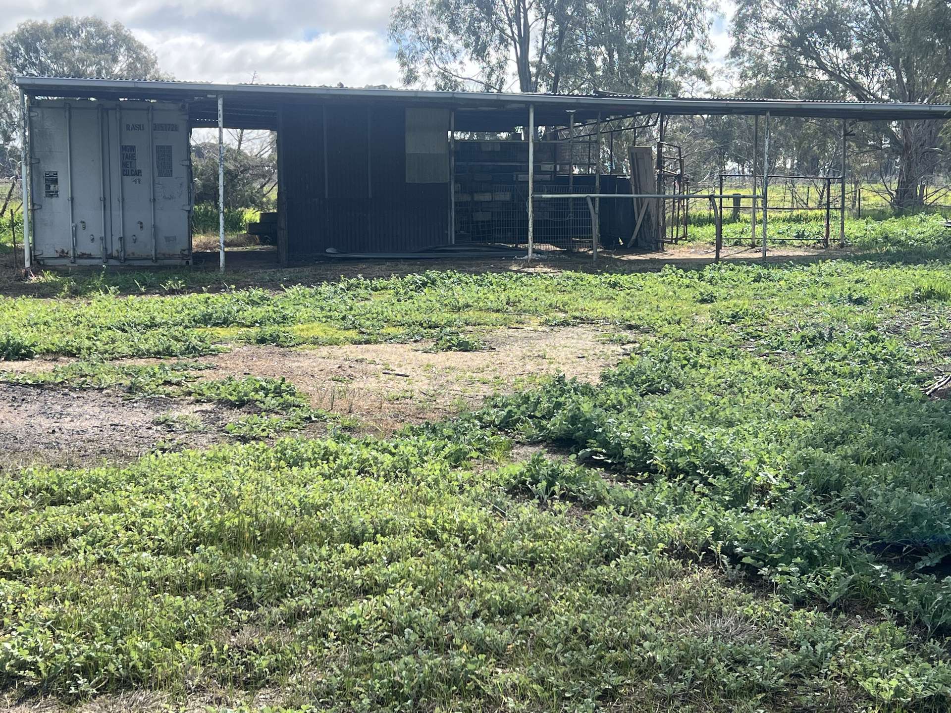 3312 Barmah-Shepparton Road, Kaarimba Auction by Farmbuy.com - image 17
