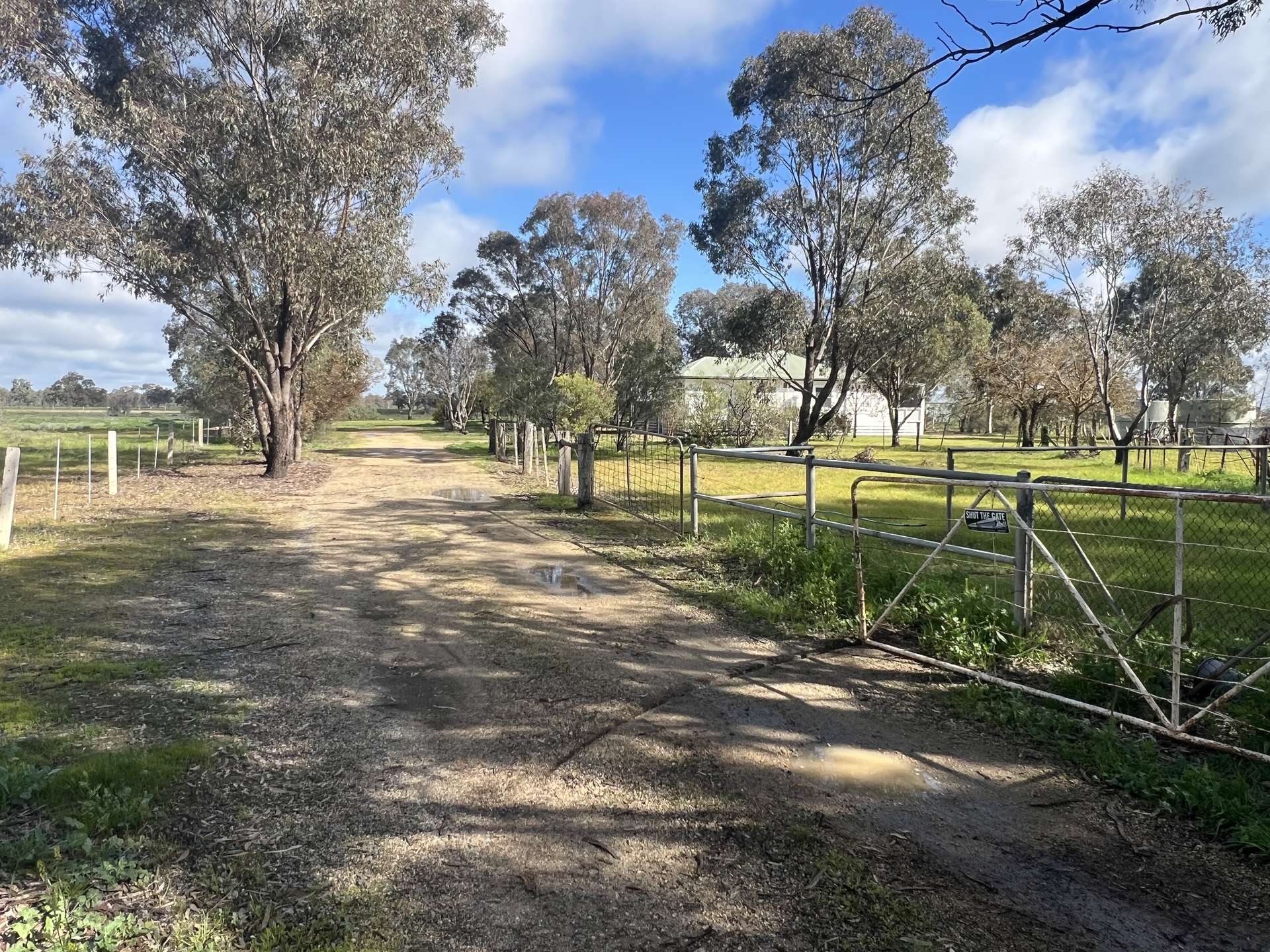 3312 Barmah-Shepparton Road, Kaarimba Auction by Farmbuy.com - image 3