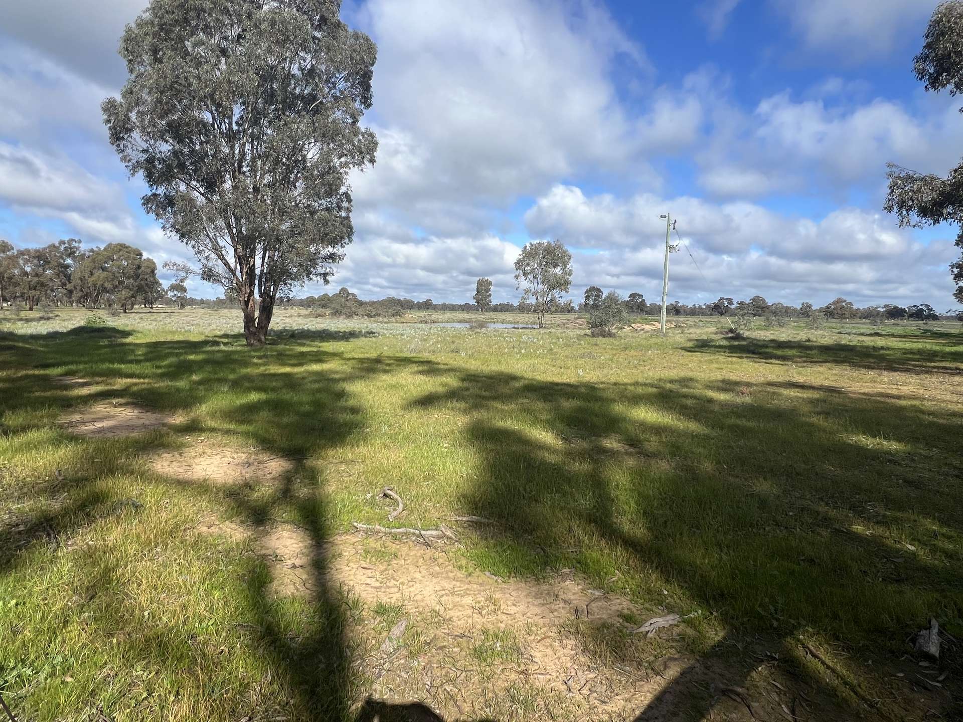 3312 Barmah-Shepparton Road, Kaarimba Auction by Farmbuy.com - image 14