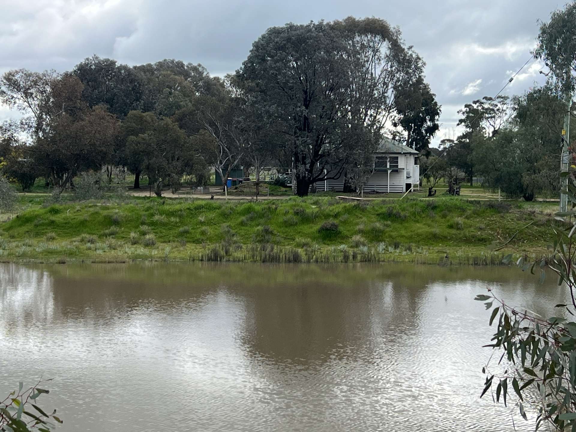 3312 Barmah-Shepparton Road, Kaarimba Auction by Farmbuy.com - image 2